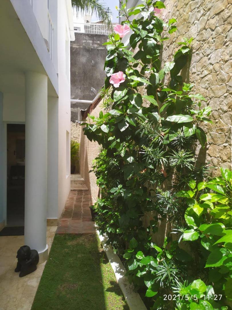 La Aldea 124: side passage with plants and a small garden
