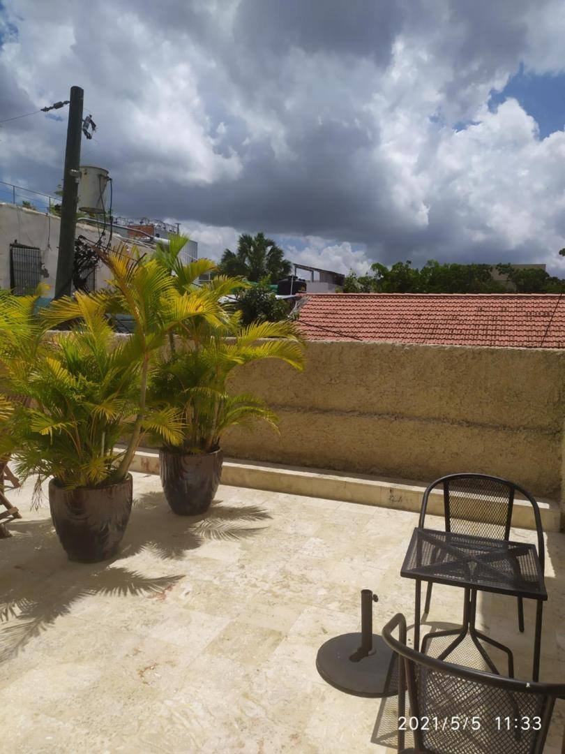La Aldea 124: terrace with potted palms and chairs